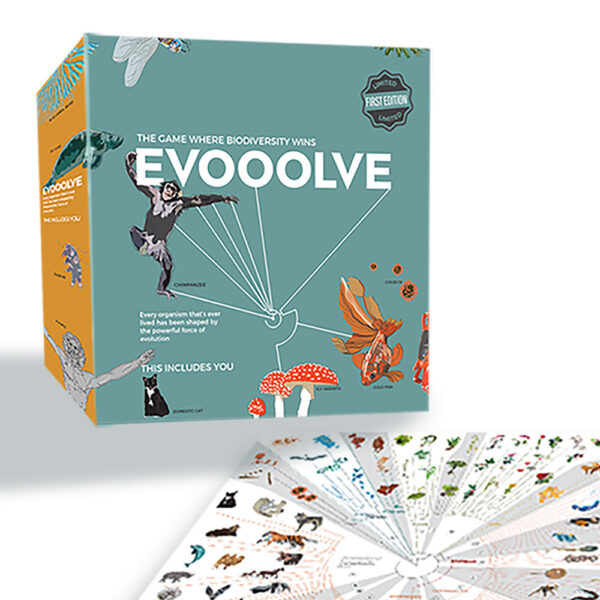 Evooolve - Board game