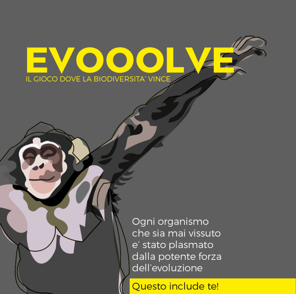 Evooolve - cosa e' l'evoluzione